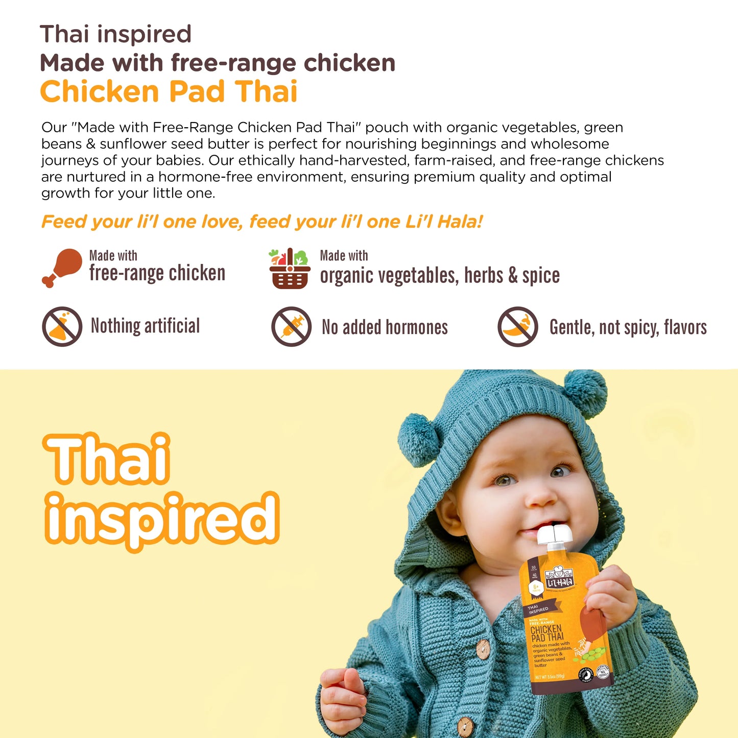 Chicken Pad Thai Pouches (6 CT)