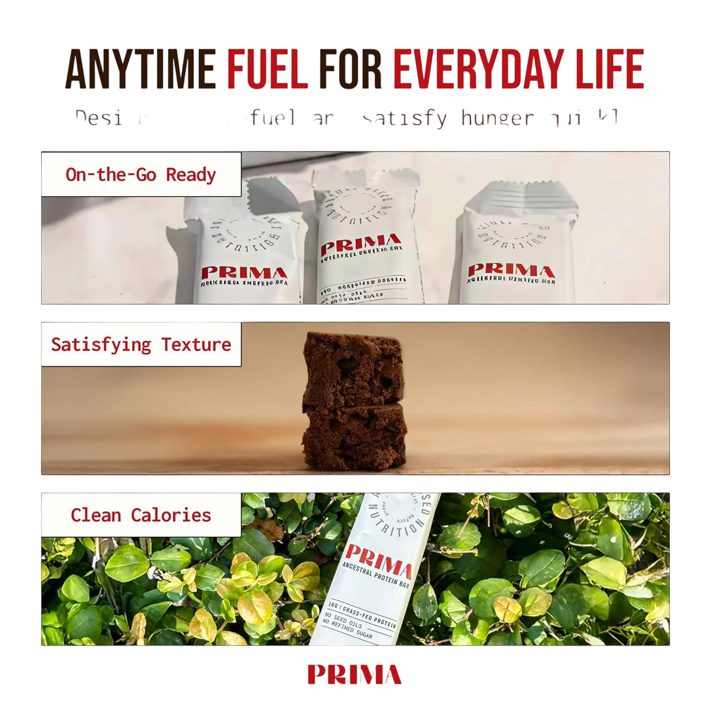 Ancestral Protein Bar - Cacao (7 Pack)