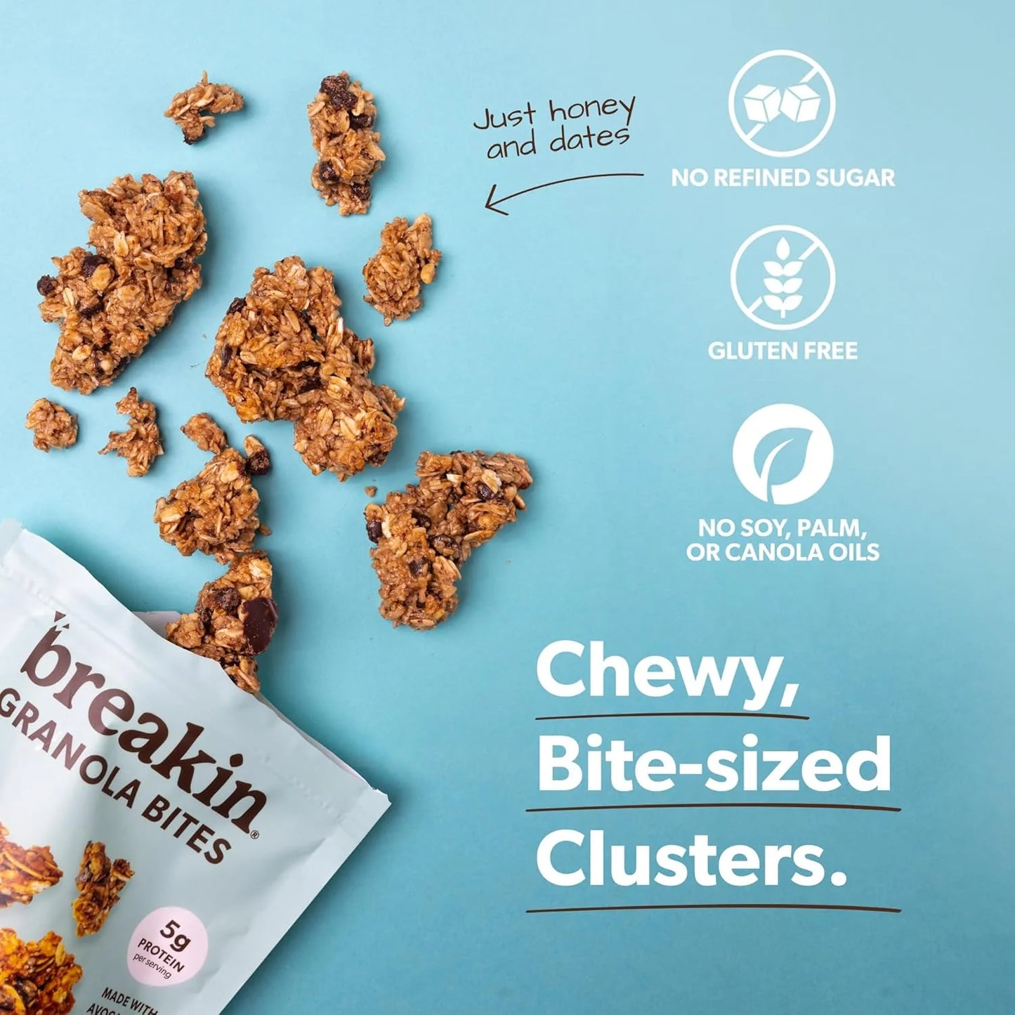 Granola Bites - Dark Chocolate Peanut