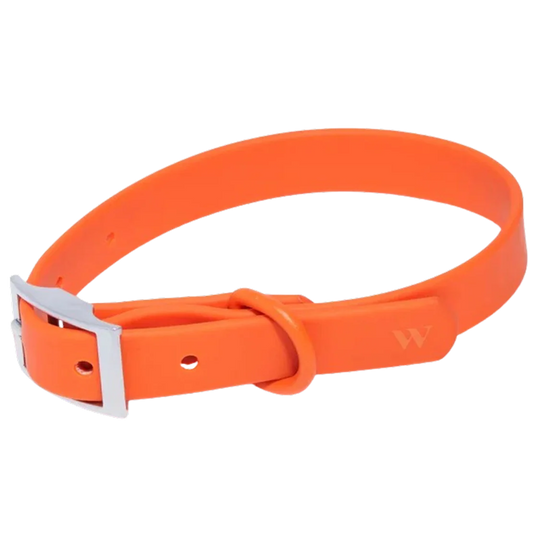 Collar - Large - Blaze