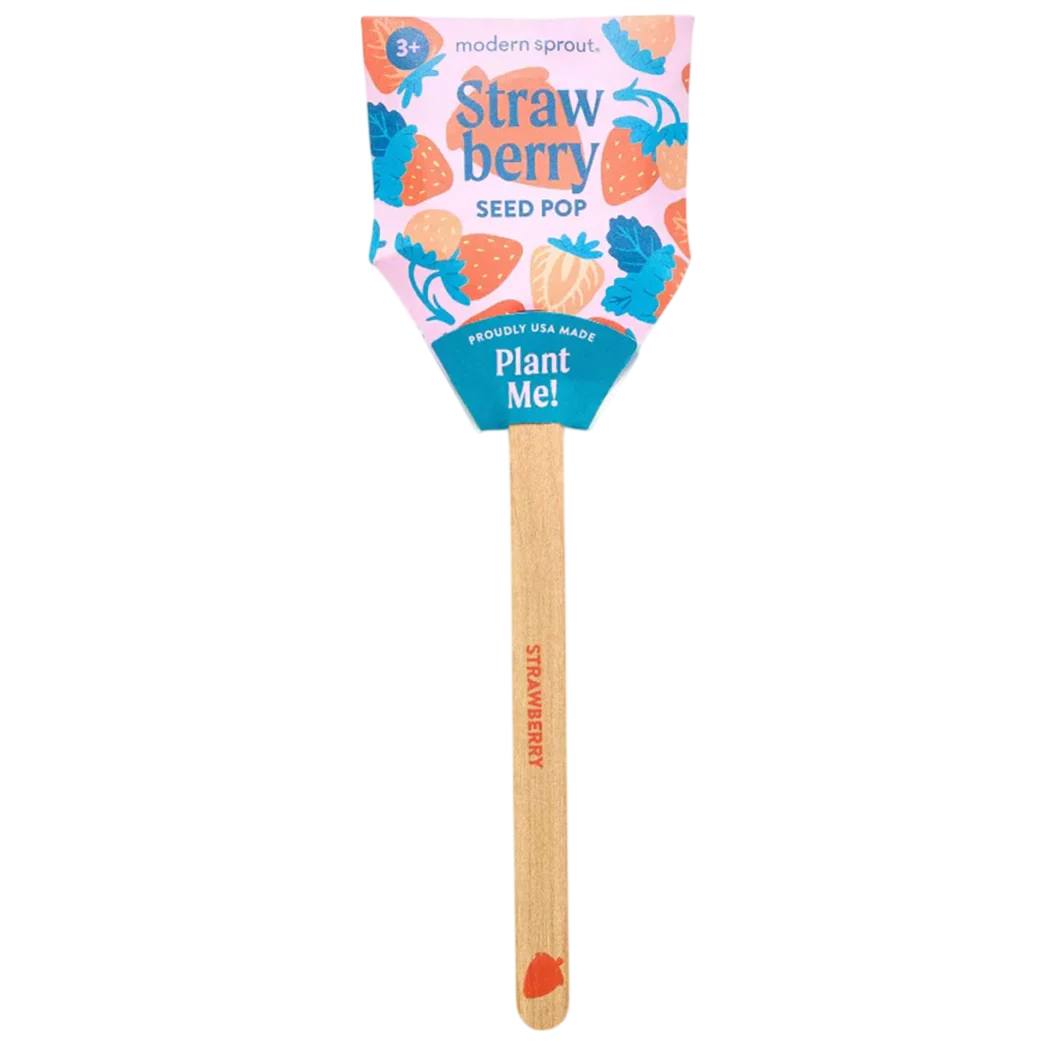 Strawberry Seed Pop - Bullseye