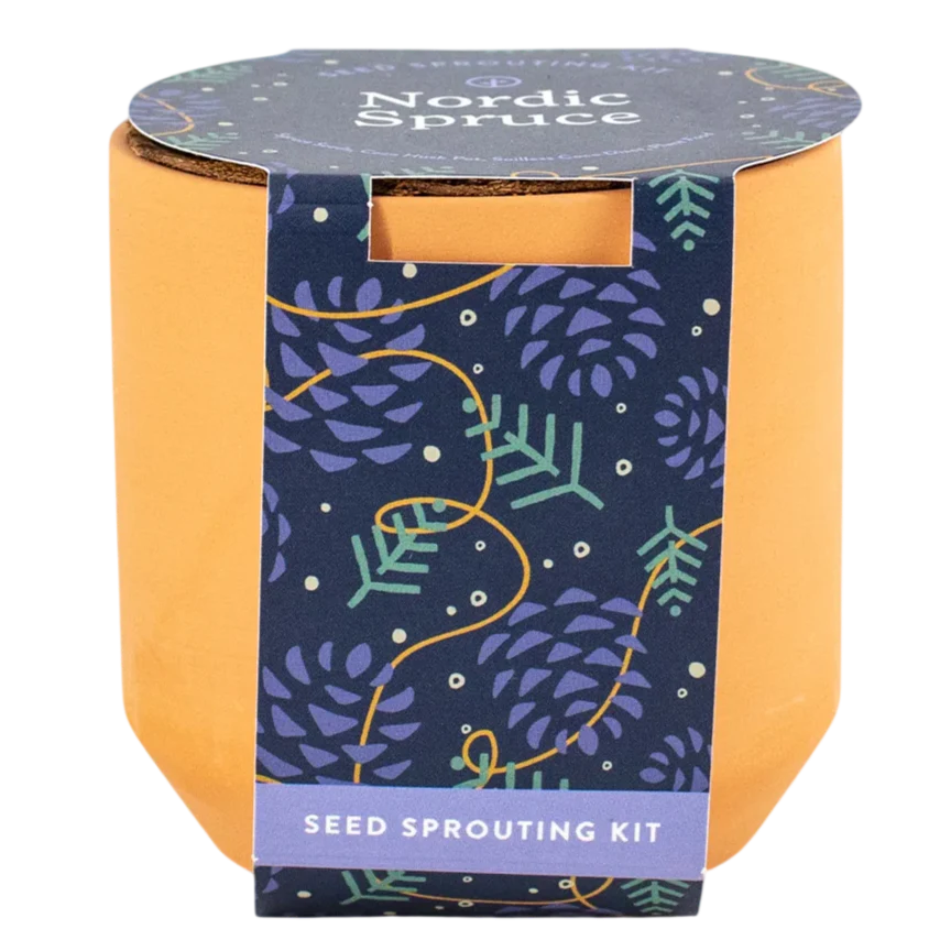 Tiny Terracotta Kit- Nordic Spruce