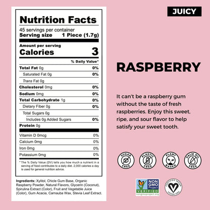 Raspberry Plant Based Gum (12 Pack)