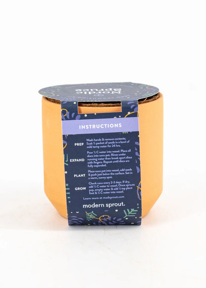 Tiny Terracotta Kit- Nordic Spruce