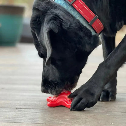 Starfish ¨C Durable Dog Chew Toy - Red